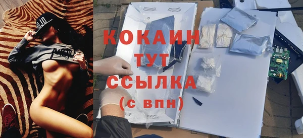 прущие крисы Абаза